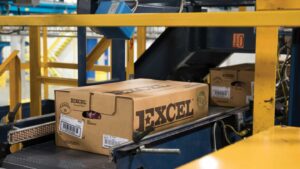 Excel plant box