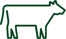 Beef icon