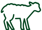 Lamb icon
