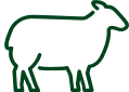 Mutton icon