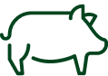 Pork icon