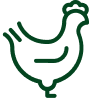 Poultry icon