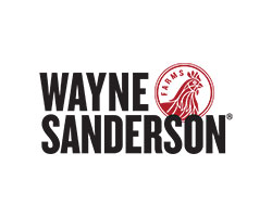 WAYNE SANDERSONS logo